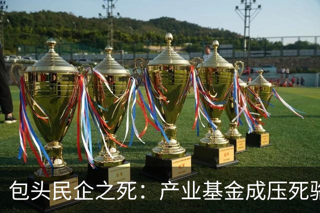 包头民企之死：产业基金成压死骆驼的稻草
