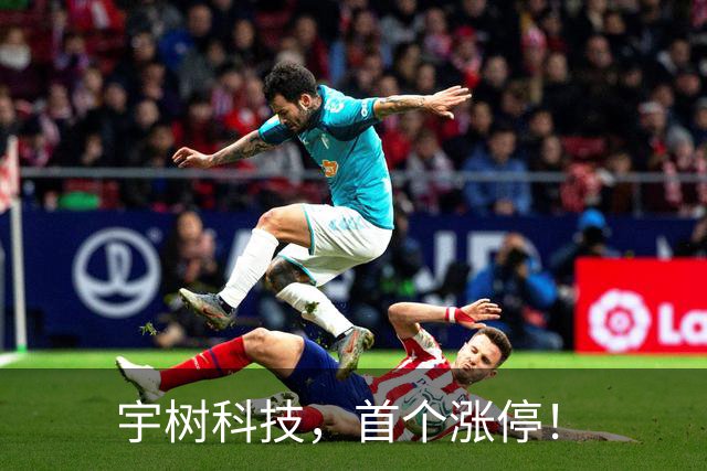 宇树科技，首个涨停！