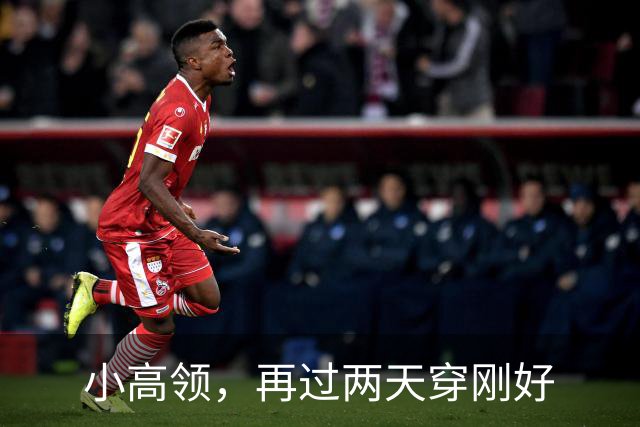 小高领，再过两天穿刚好