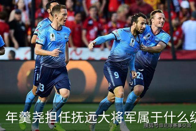 年羹尧担任抚远大将军属于什么级别？与大学士和军机大臣相比如何？
