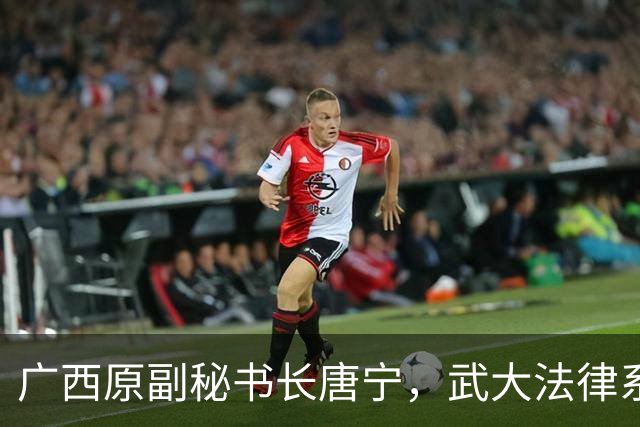 广西原副秘书长唐宁，武大法律系出身，最懂法的人越了线