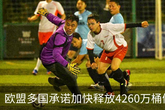 欧盟多国承诺加快释放4260万桶储油以稳定市场