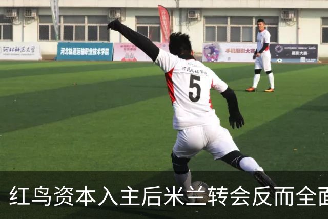 红鸟资本入主后米兰转会反而全面停顿 球迷不满