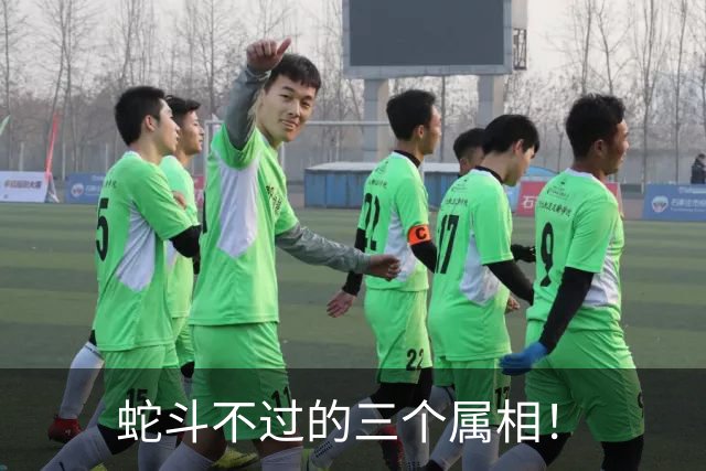 蛇斗不过的三个属相！